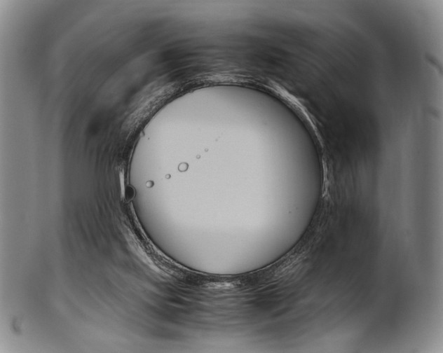 X0000101660061200807101035