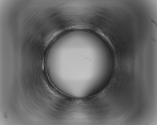 X0000101660062200807101035