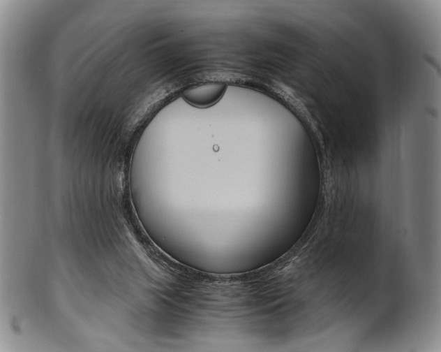 X0000101660063200807101035
