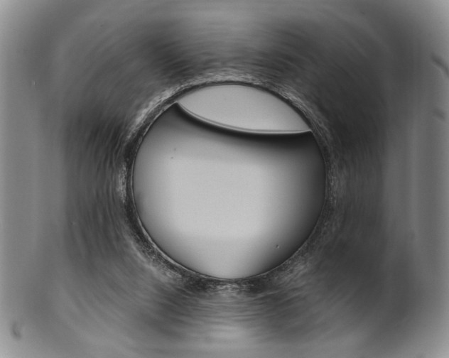 X0000101660064200807101035