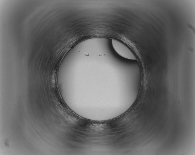 X0000101660065200807101035