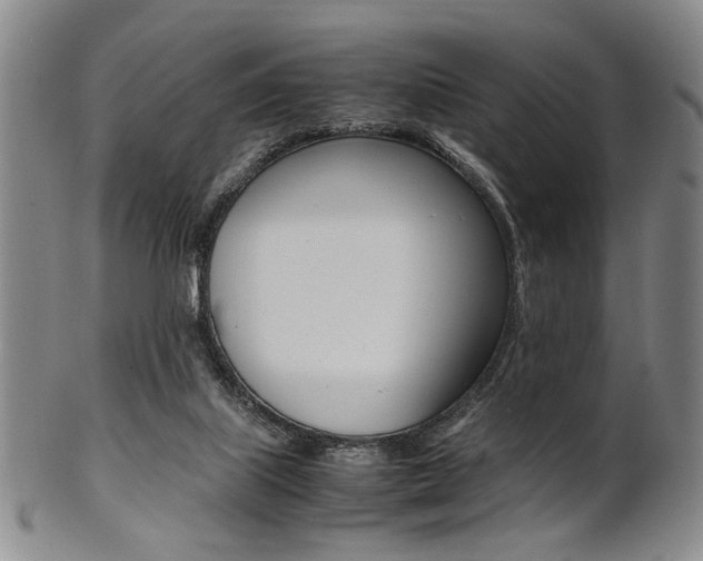 X0000101660067200807101035