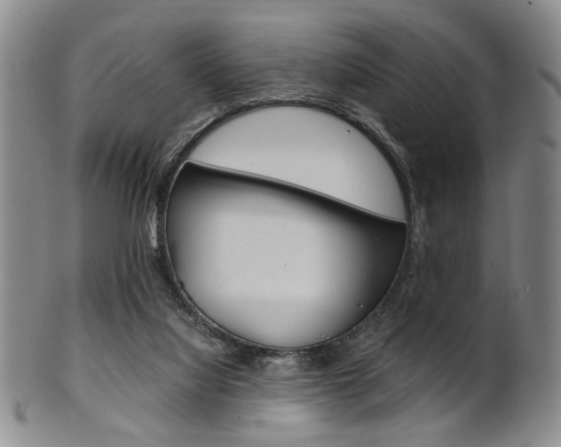 X0000101660068200807101035