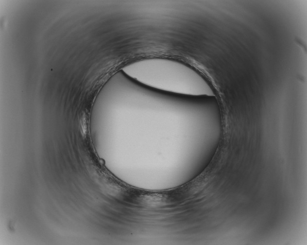X0000101660069200807101035