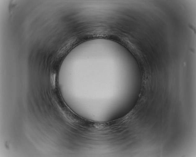 X0000101660070200807101035