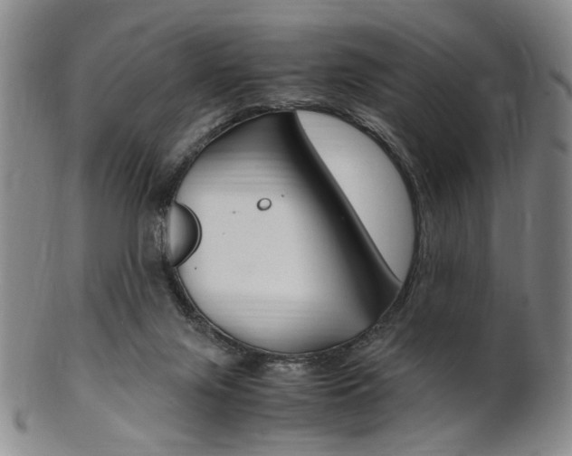 X0000101660071200807101035