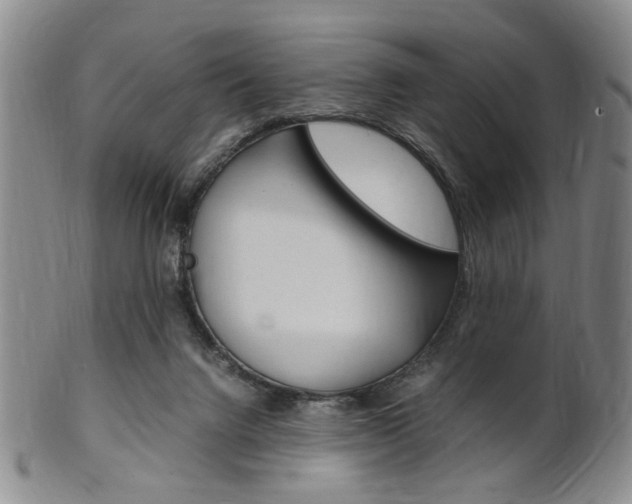 X0000101660072200807101035