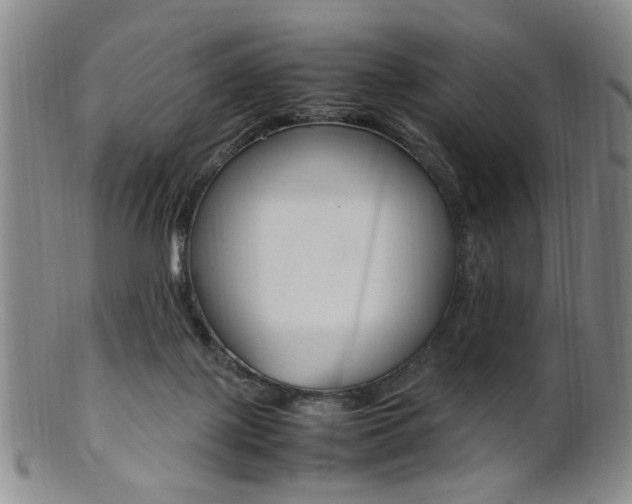 X0000101660075200807101035