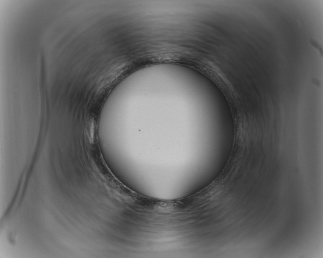 X0000101660076200807101035