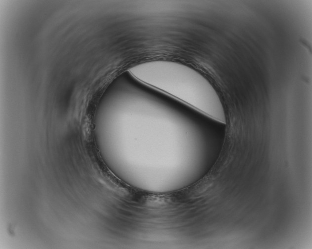 X0000101660077200807101035