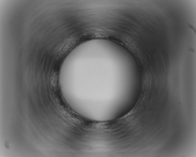 X0000101660078200807101035