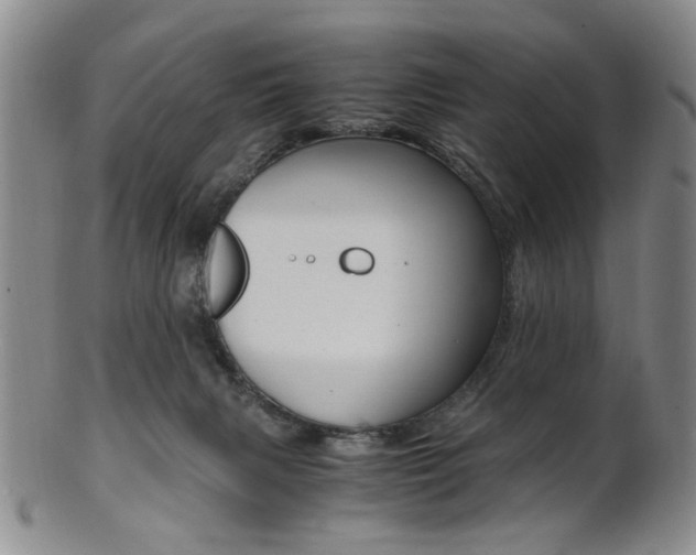 X0000101660079200807101035