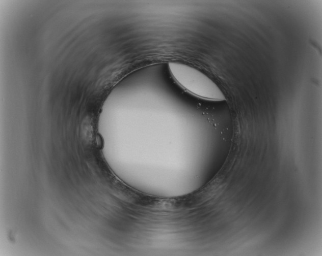 X0000101660080200807101035