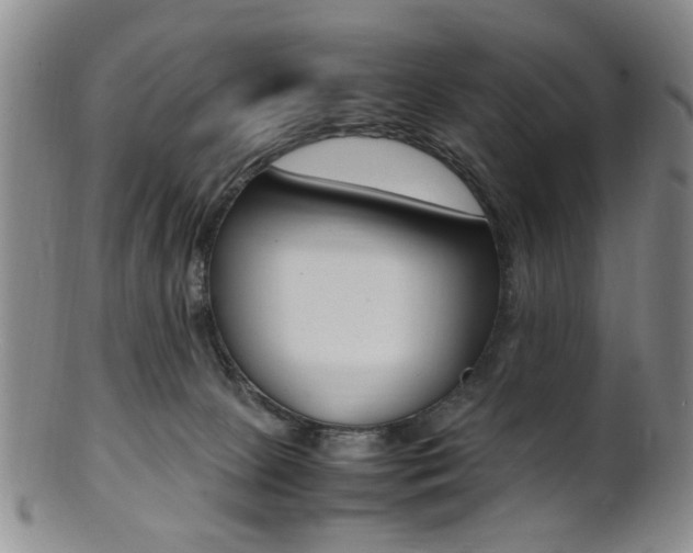 X0000101660081200807101035