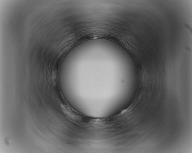 X0000101660082200807101035
