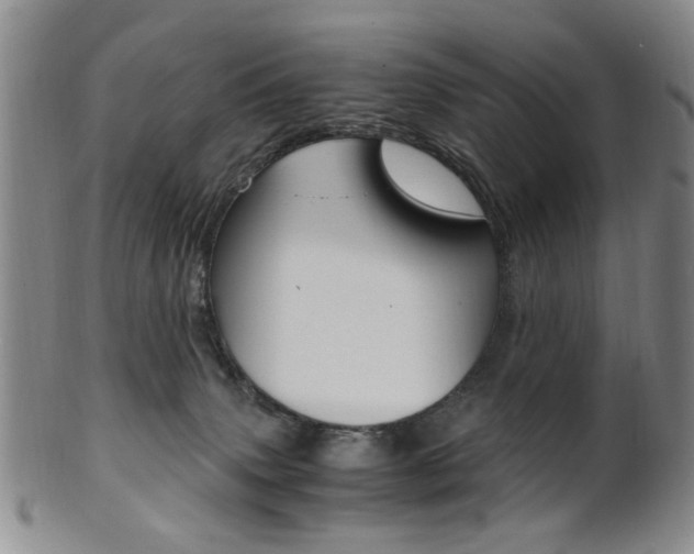 X0000101660083200807101035