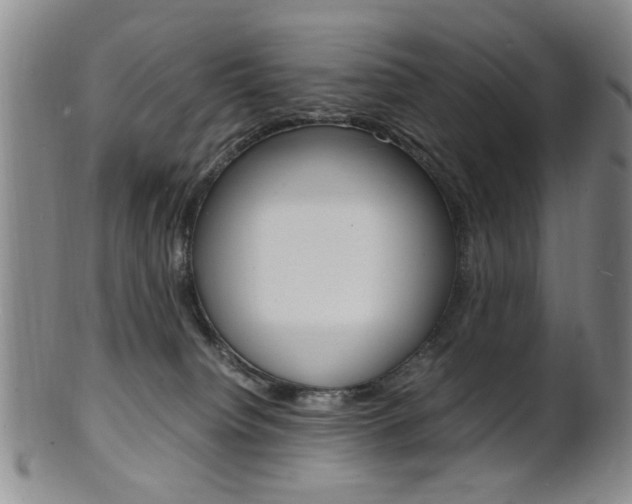 X0000101660084200807101035