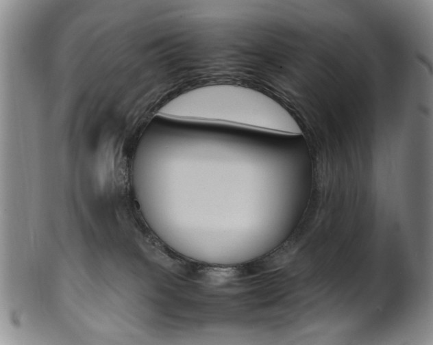 X0000101660085200807101035