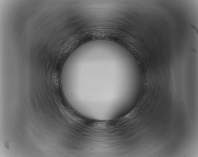 X0000101660086200807101035