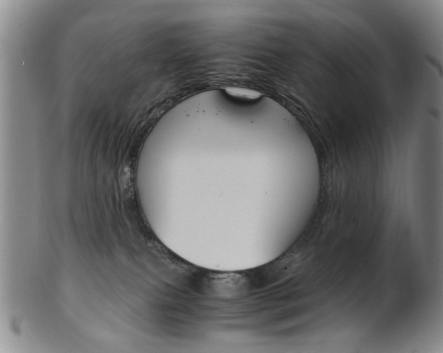 X0000101660087200807101035