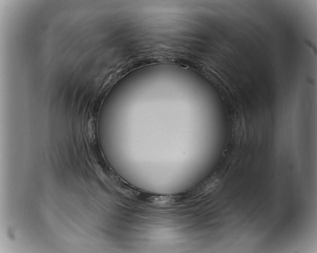 X0000101660088200807101035