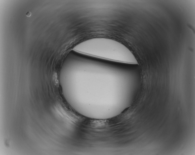X0000101660089200807101035