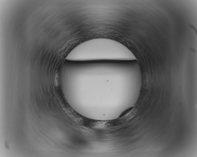 X0000101660090200807101035