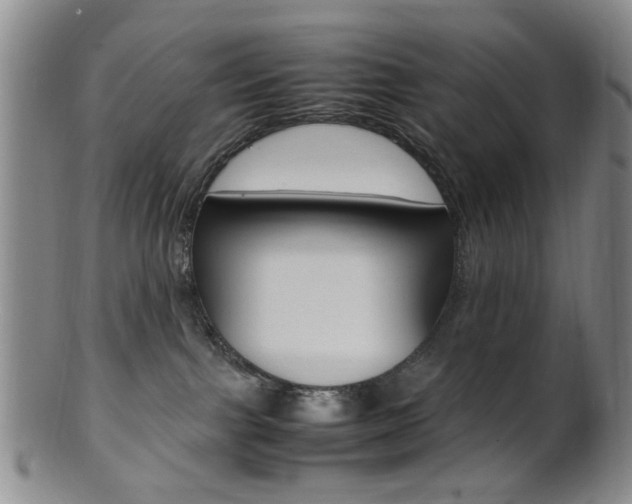 X0000101660091200807101035