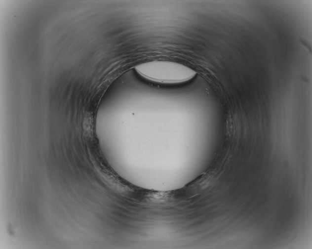 X0000101660092200807101035