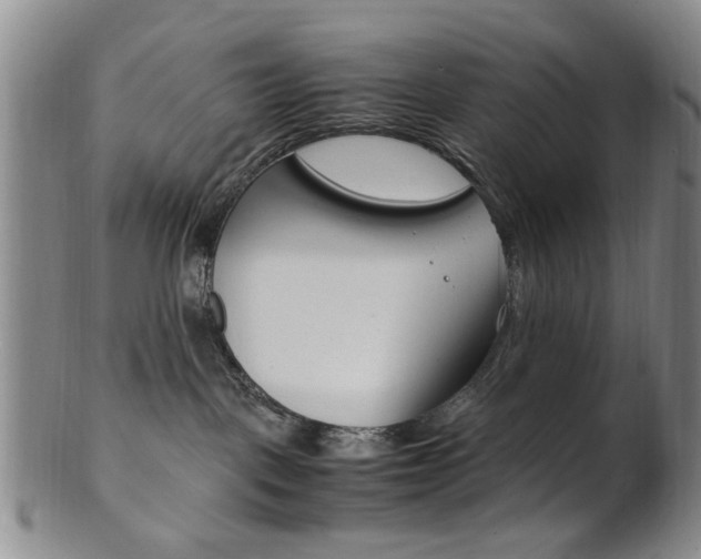 X0000101660093200807101035