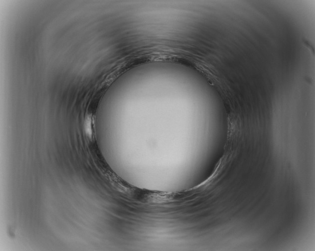 X0000101660094200807101036