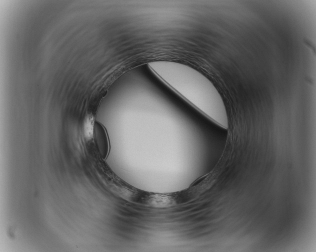 X0000101660095200807101036