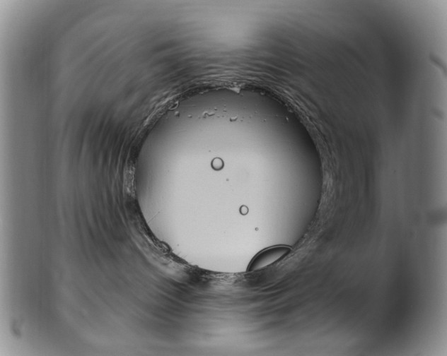 X0000101660096200807101036