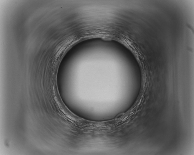 X0000101660097200807101035