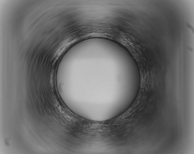 X0000101660098200807101035