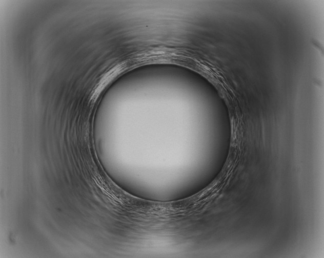 X0000101660099200807101035