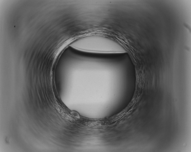 X0000101660100200807101035