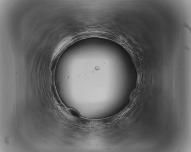 X0000101660101200807101035
