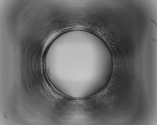 X0000101660102200807101035