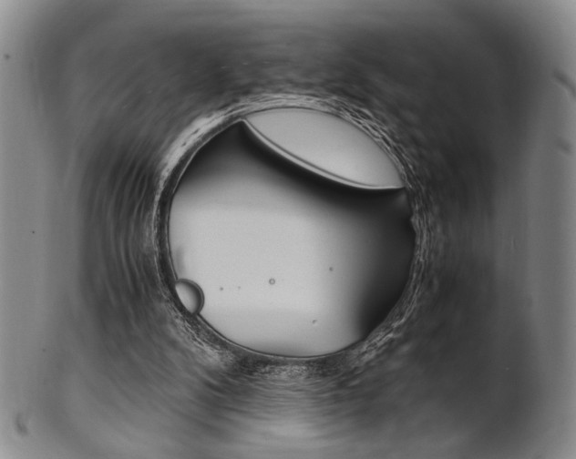 X0000101660104200807101035