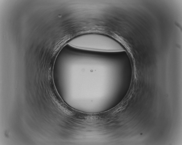 X0000101660105200807101035
