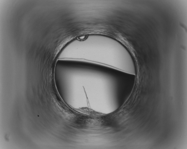 X0000101660107200807101035