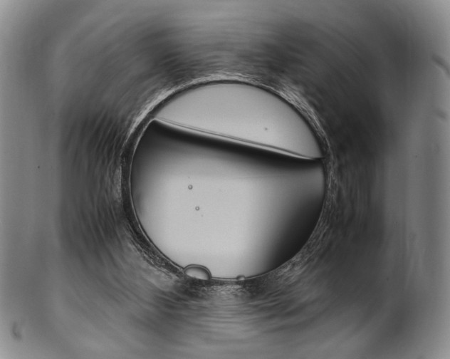 X0000101660108200807101035