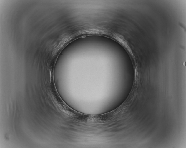 X0000101660109200807101035