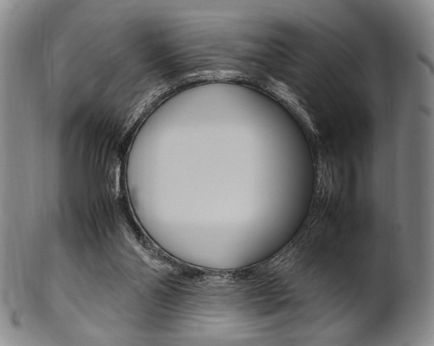 X0000101660110200807101035