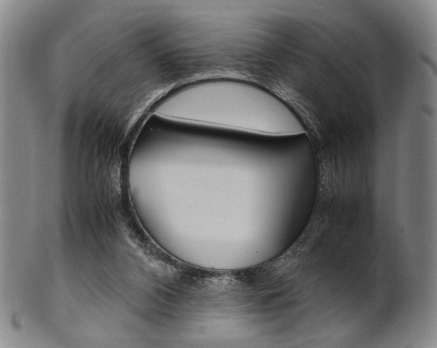 X0000101660112200807101035