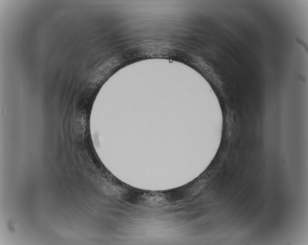 X0000101660113200807101035