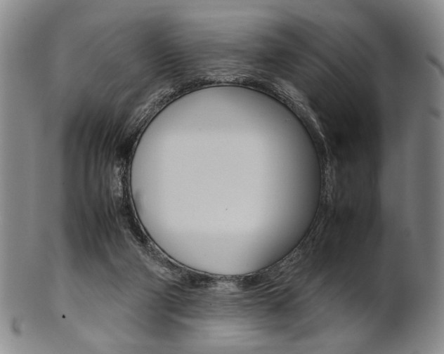 X0000101660114200807101034