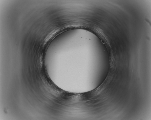 X0000101660116200807101034