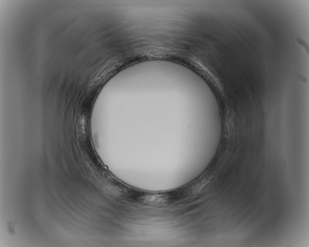 X0000101660117200807101034